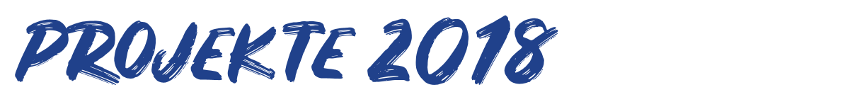 PROJEKTE 2018